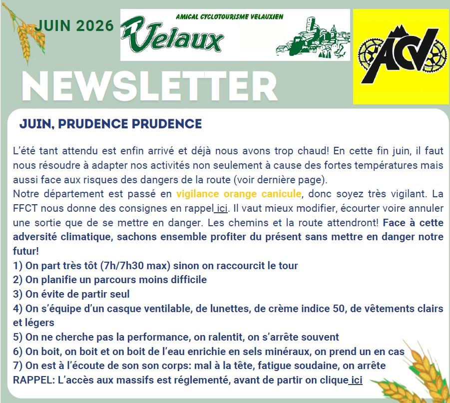 Newsletter 06